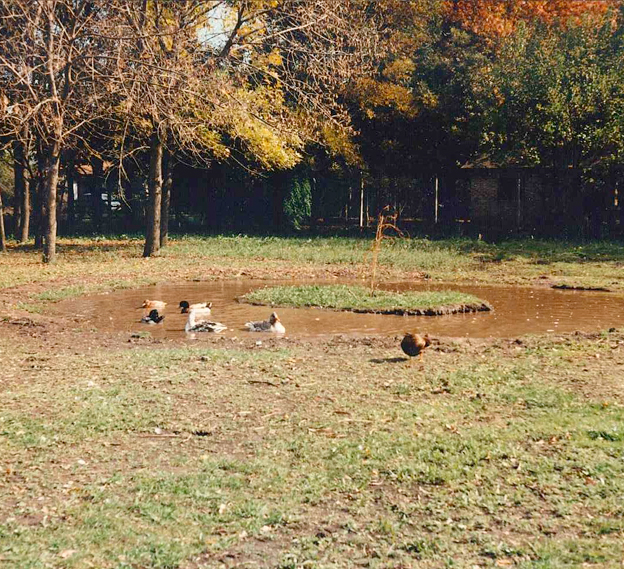 Instalación Antigua colegio 2