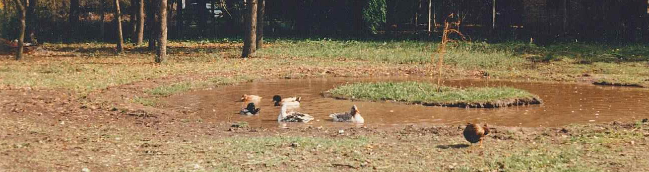 Instalación Antigua colegio 2